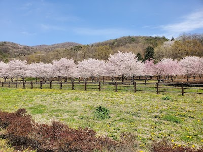 栃木市岩舟健康福祉センター「CITY GYM＆SPA 遊楽々館」