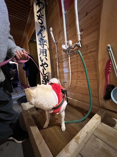 わんちゃん専用いやしの湯