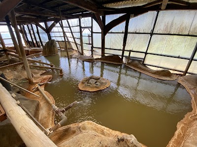 テイエム牧場温泉