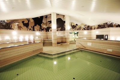 勝山天然温泉 水芭蕉