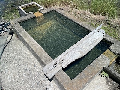 南世継外れ温泉