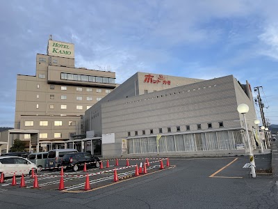 天然温泉ホットカモ