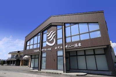 天然温泉掛け流しの宿 ホテルポニー温泉