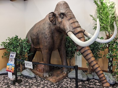 天然炭酸温泉 のもん湯