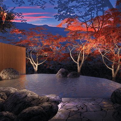 山の神温泉 なごみの湯