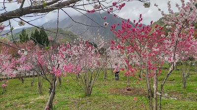 平成の湯(九頭竜温泉)