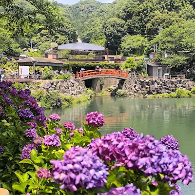 形原温泉 あじさいの里