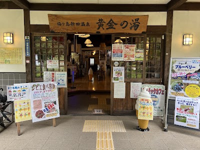梅ヶ島新田温泉 黄金の湯