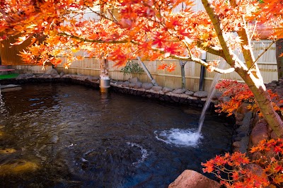 正徳寺温泉 初花