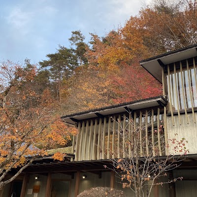 飛騨川温泉しみずの湯